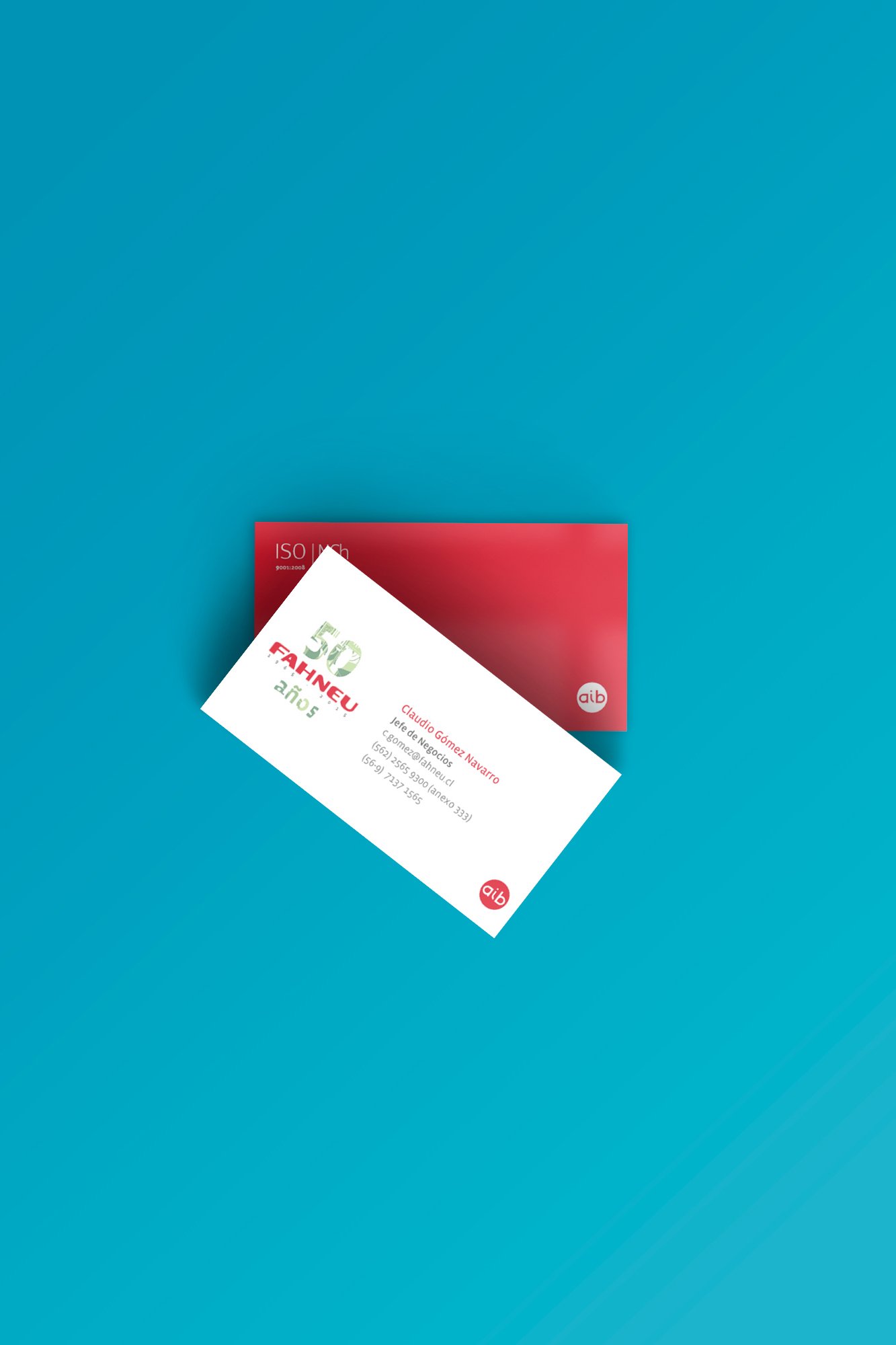 Fahneu 2015 Business Cards